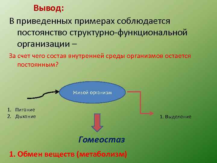 Вывод: В приведенных примерах соблюдается постоянство структурно-функциональной организации – За счет чего состав внутренней