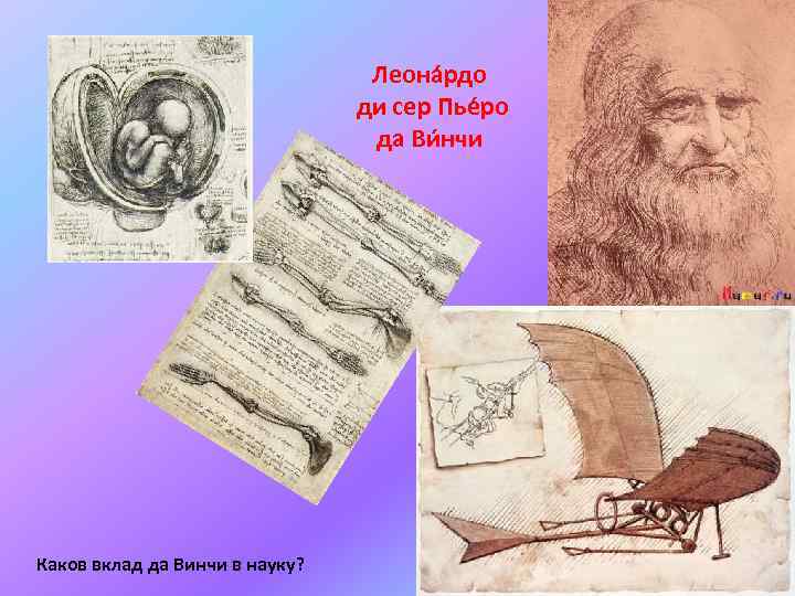 Леона рдо ди сер Пье ро да Ви нчи Каков вклад да Винчи в