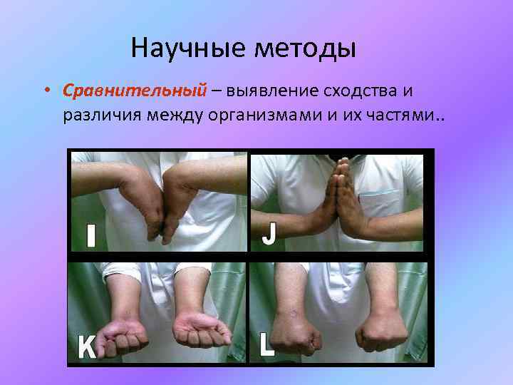 Научные методы • Сравнительный – выявление сходства и различия между организмами и их частями.