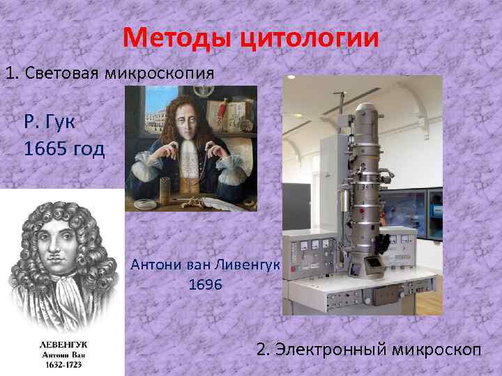 Методы цитологии 1. Световая микроскопия Р. Гук 1665 год Антони ван Ливенгук 1696 2.