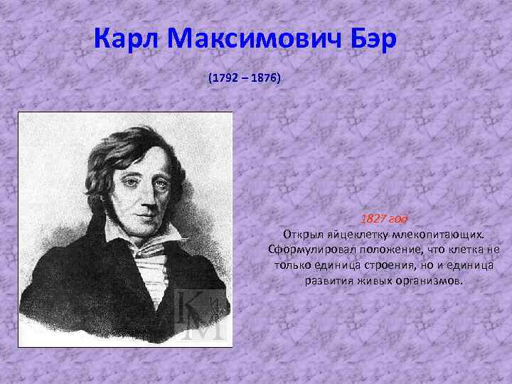 Карл Максимович Бэр (1792 – 1876) 1827 год Открыл яйцеклетку млекопитающих. Сформулировал положение, что