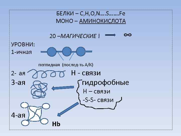 Гидрофобные связи белка. Белок c3h8o3. Белки состав структура и функции. Белков c s. Экспонента состав белковый.