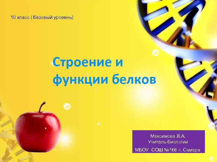 10 класс ( базовый уровень) Строение и функции белков Максимова Л. А. Учитель биологии