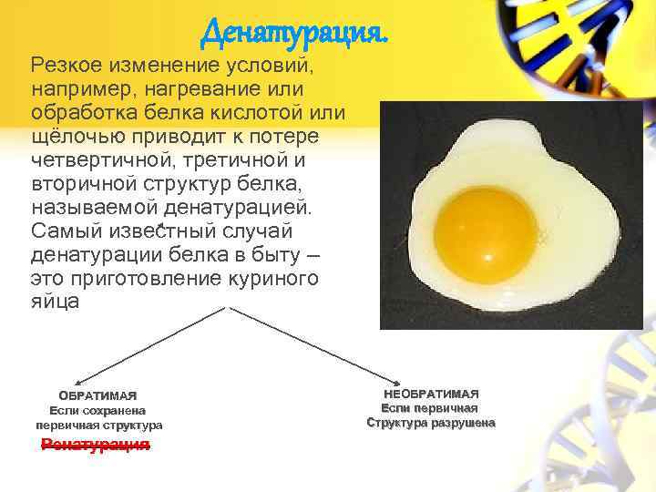 Почему мутные белки яиц. При денатурации белков происходит. Денатурация яичного белка. Что происходит при денатурации белка. Изменение свойств белков при денатурации.