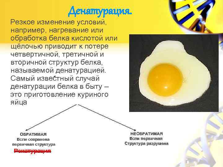 Куриный белок вода. При денатурации белков происходит. Денатурация яичного белка. Что происходит при денатурации белка. Изменение свойств белков при денатурации.