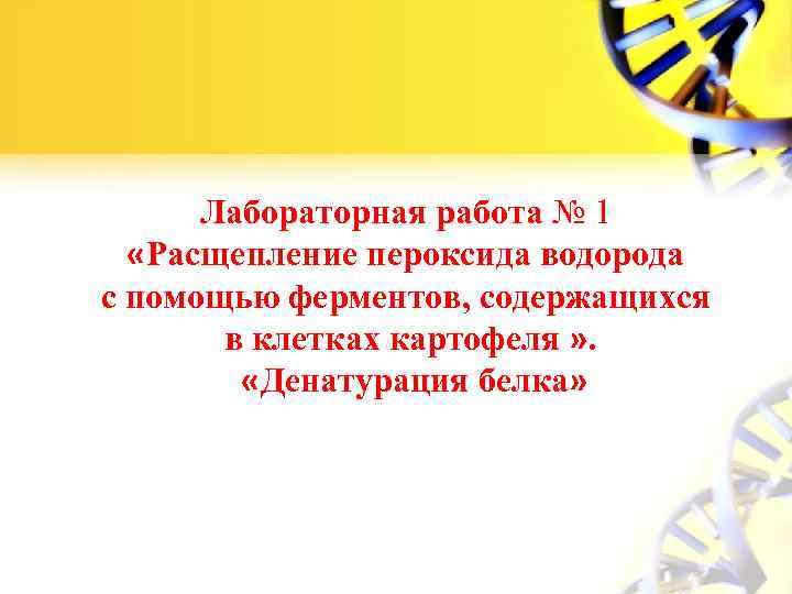 Лабораторная работа № 1 «Расщепление пероксида водорода с помощью ферментов, содержащихся в клетках картофеля
