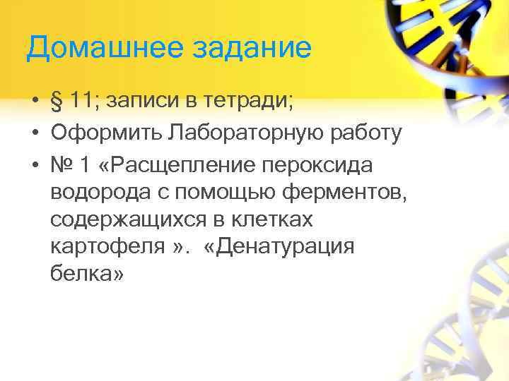 Домашнее задание • § 11; записи в тетради; • Оформить Лабораторную работу • №
