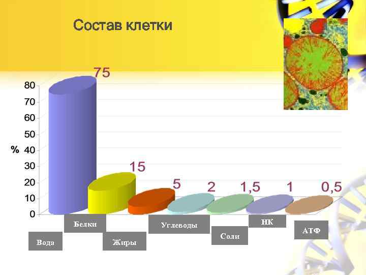 1 1 4 белки жиры углеводы