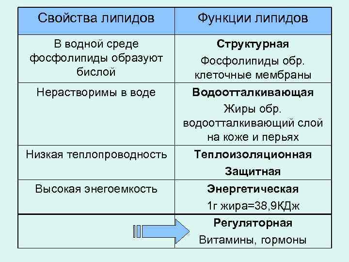 Свойства липидов Функции липидов В водной среде фосфолипиды образуют бислой Структурная Фосфолипиды обр. клеточные