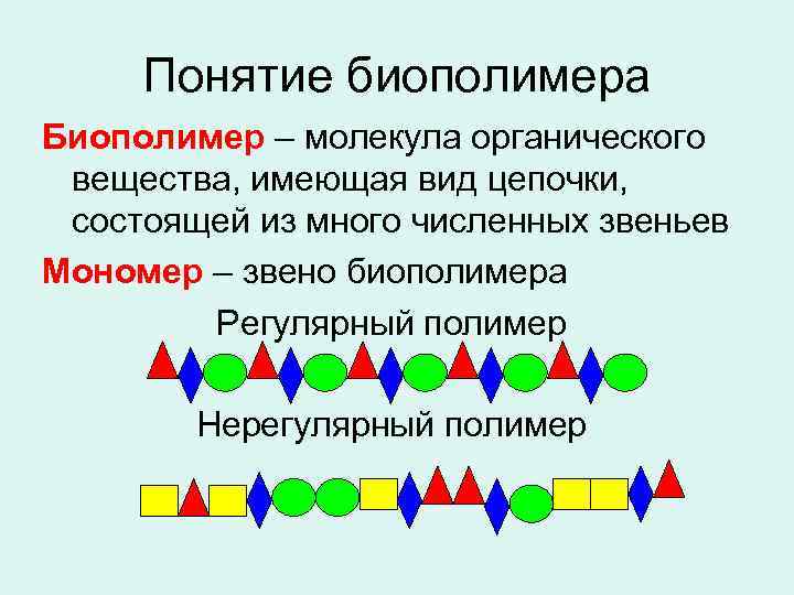 Понятие биополимера Биополимер – молекула органического вещества, имеющая вид цепочки, состоящей из много численных