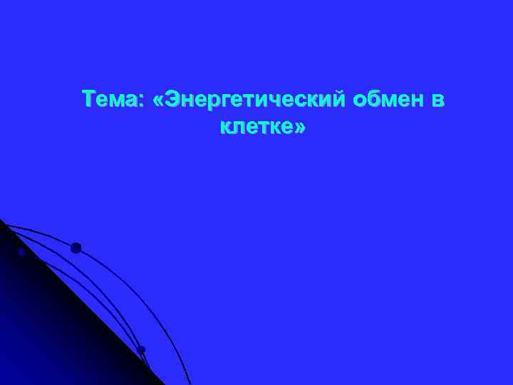 Тема: «Энергетический обмен в клетке» 