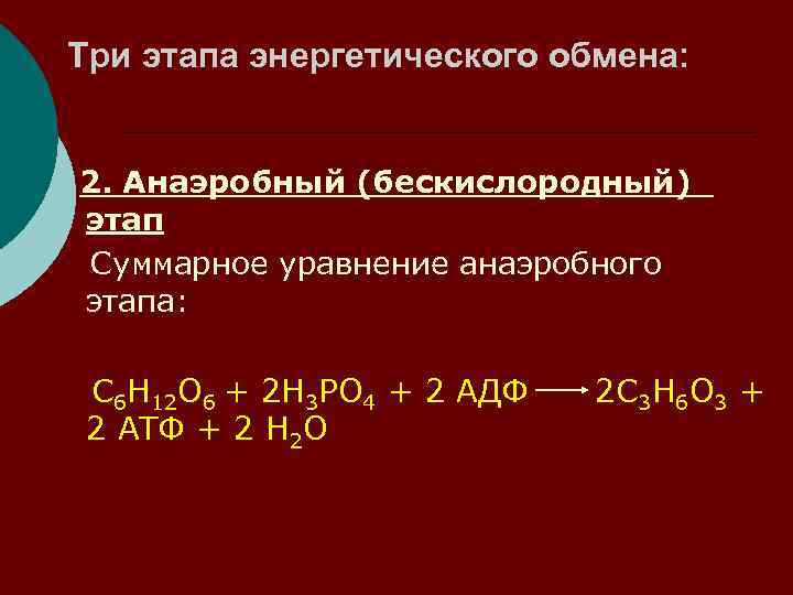 Реакции энергетического обмена