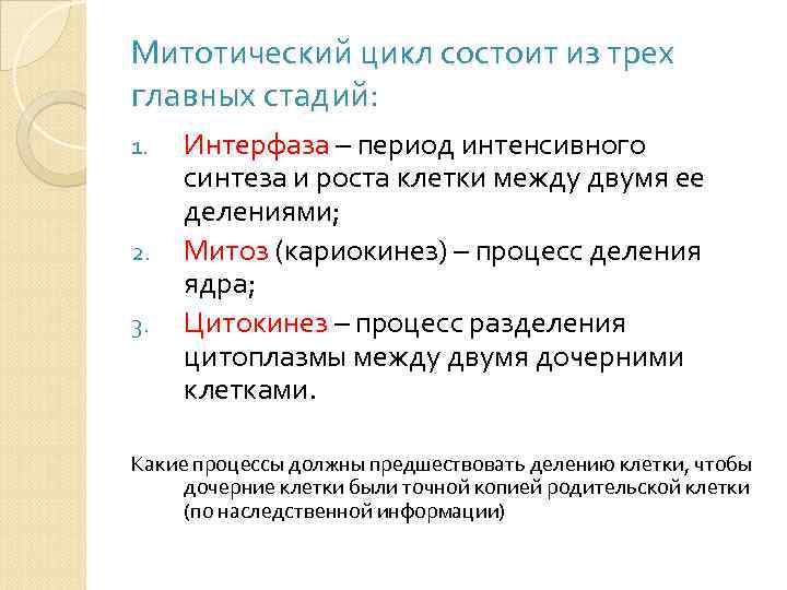 Периоды состоят из. Характеристика фаз митотического цикла. Этапы митотического цикла. Митотический цикл периоды. Митотический цикл стадии.