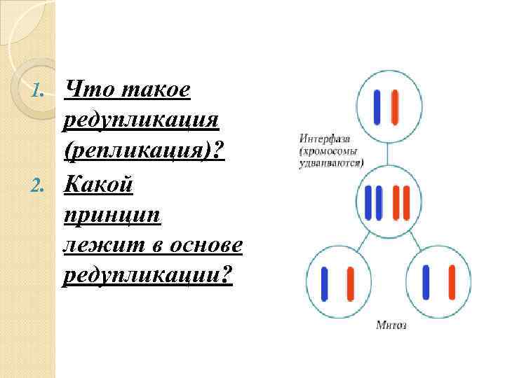 Что такое редупликация (репликация)? 2. Какой принцип лежит в основе редупликации? 1. 