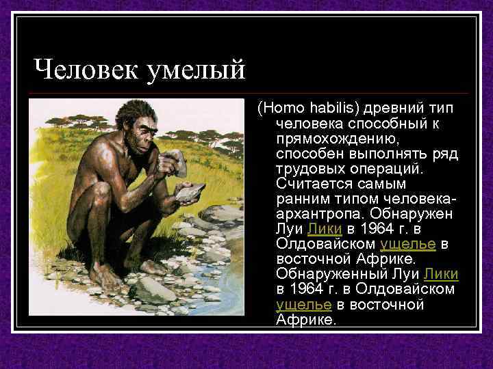 Человек умелый (Homo habilis) древний тип человека способный к прямохождению, способен выполнять ряд трудовых