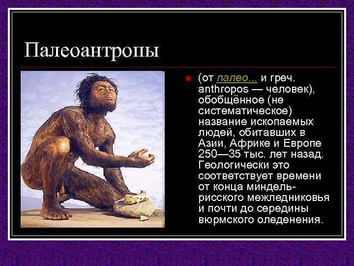 Палеоантропы n (от палео. . . и греч. anthropos — человек), обобщённое (не систематическое)