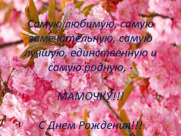 Самую любимую, самую замечательную, самую лучшую, единственную и самую родную, МАМОЧКУ!!! С Днем Рождения!!!