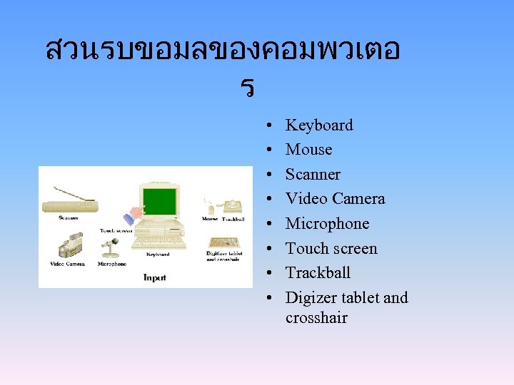 สวนรบขอมลของคอมพวเตอ ร • • Keyboard Mouse Scanner Video Camera Microphone Touch screen Trackball Digizer