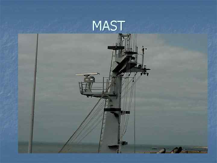 MAST 