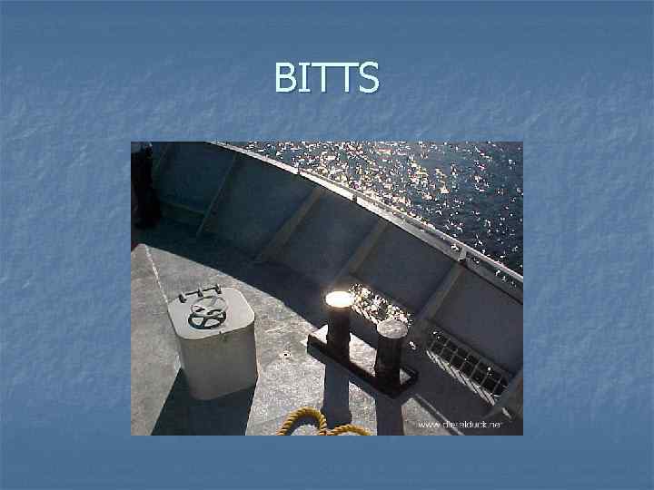 BITTS 