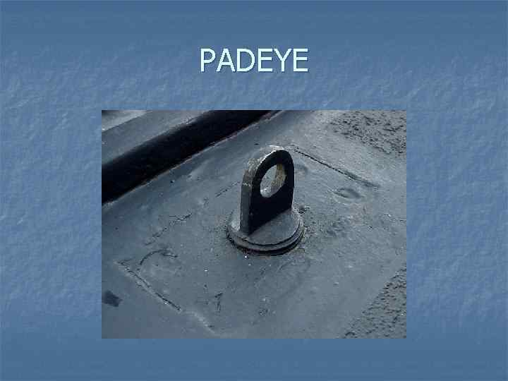 PADEYE 