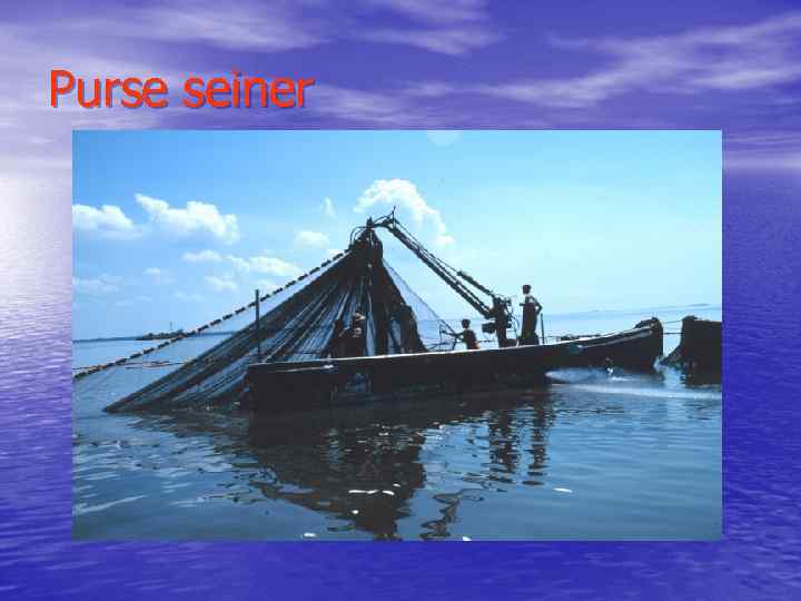 Purse seiner 