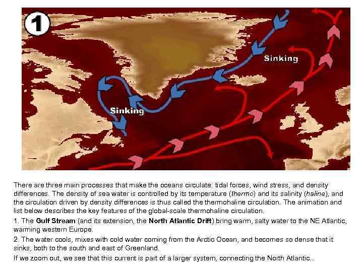 There are three main processes that make the oceans circulate: tidal forces, wind stress,