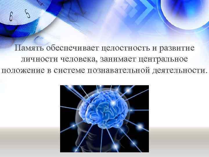 Память обеспечивает целостность и развитие личности человека, занимает центральное положение в системе познавательной деятельности.