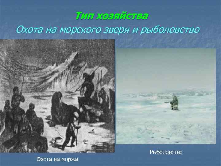 Тип хозяйства Охота на морского зверя и рыболовство Рыболовство Охота на моржа 