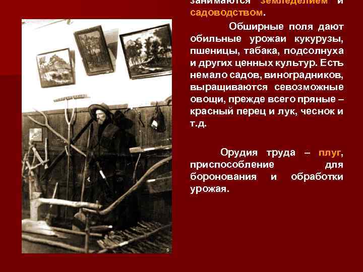 занимаются земледелием и садоводством. Обширные поля дают обильные урожаи кукурузы, пшеницы, табака, подсолнуха и
