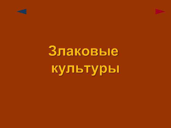 Злаковые культуры 