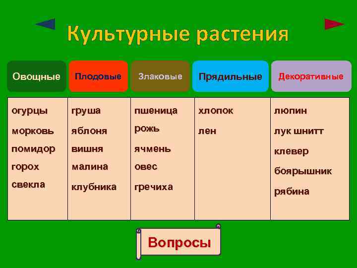 Культурные растения Овощные Плодовые Злаковые Прядильные Декоративные огурцы груша пшеница хлопок люпин морковь яблоня