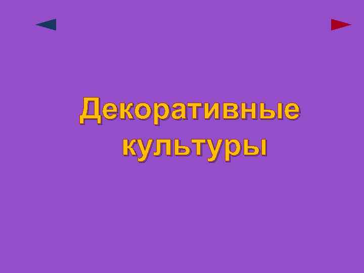 Декоративные культуры 