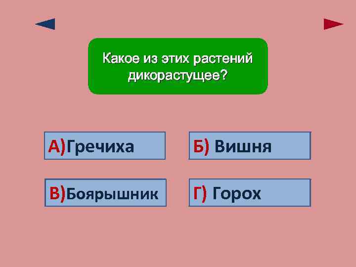 Какое из этих растений дикорастущее? А)Гречиха Ошибка! Б) Ошибка! Вишня Верно! В)Боярышник Г) Горох