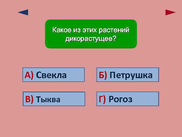 Какое из этих растений дикорастущее? А) Ошибка! Свекла Б) Ошибка! Петрушка В) Ошибка! Тыква