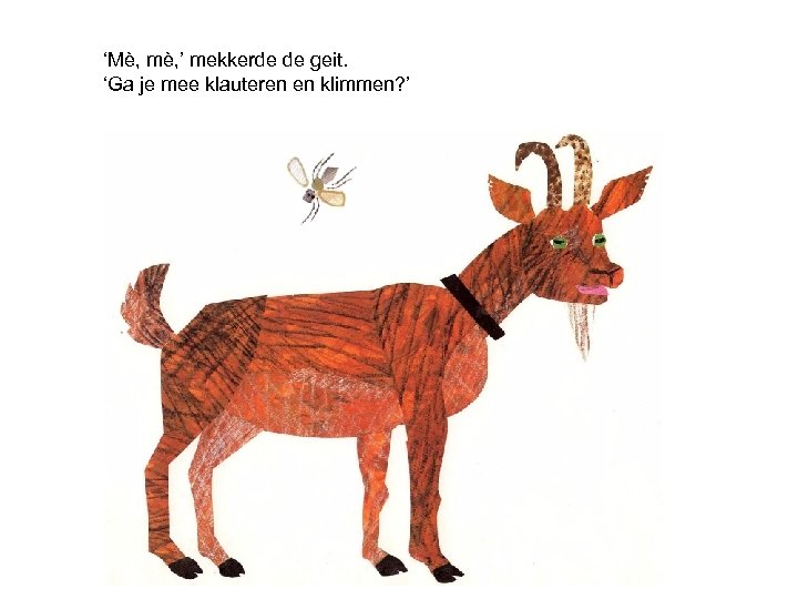 ‘Mè, mè, ’ mekkerde de geit. ‘Ga je mee klauteren en klimmen? ’ 