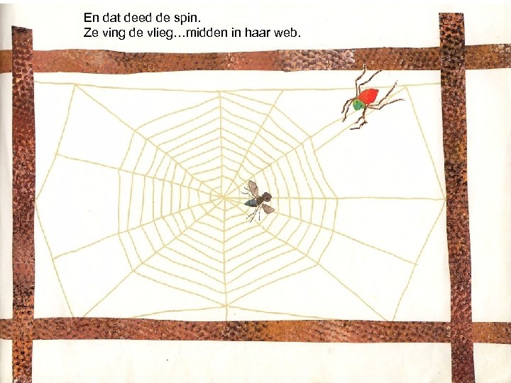 En dat deed de spin. Ze ving de vlieg…midden in haar web. 