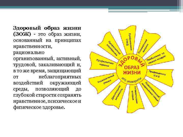 Здоровый образ жизни (ЗОЖ) - это образ жизни, основанный на принципах нравственности, рационально организованный,