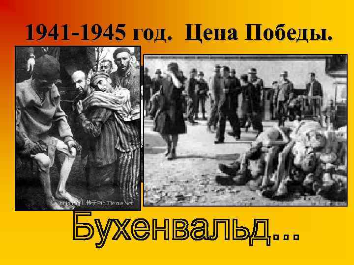 1941 -1945 год. Цена Победы. 