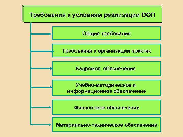 Требования к условиям реализации ООП Общие требования Требования к организации практик Кадровое обеспечение Учебно-методическое