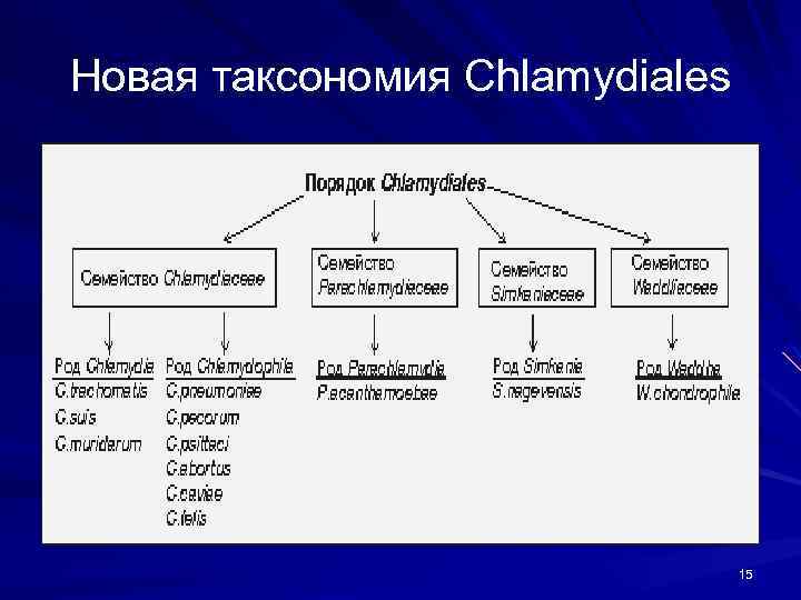 Новая таксономия Chlamydiales 15 