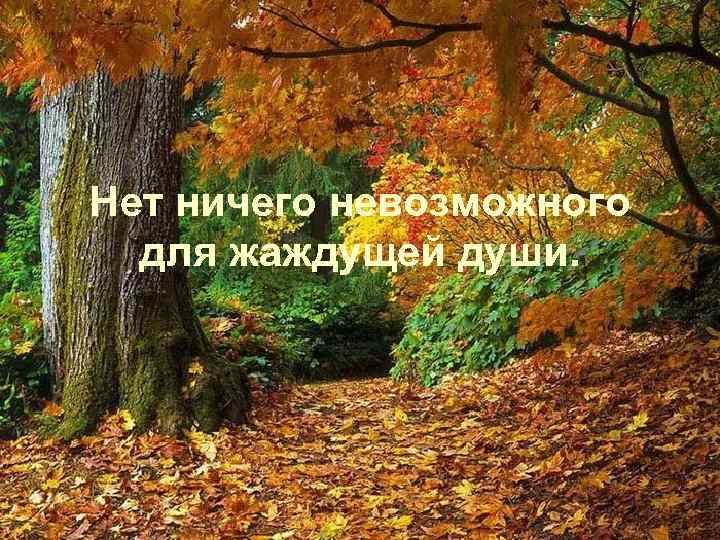 Нет ничего невозможного для жаждущей души. 