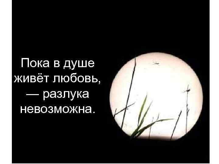 Пока в душе живёт любовь, — разлука невозможна. 