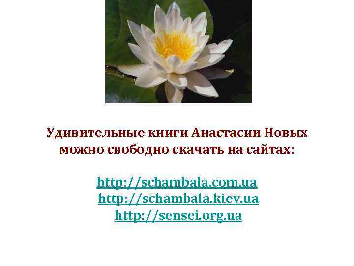 Удивительные книги Анастасии Новых можно свободно скачать на сайтах: http: //schambala. com. ua http: