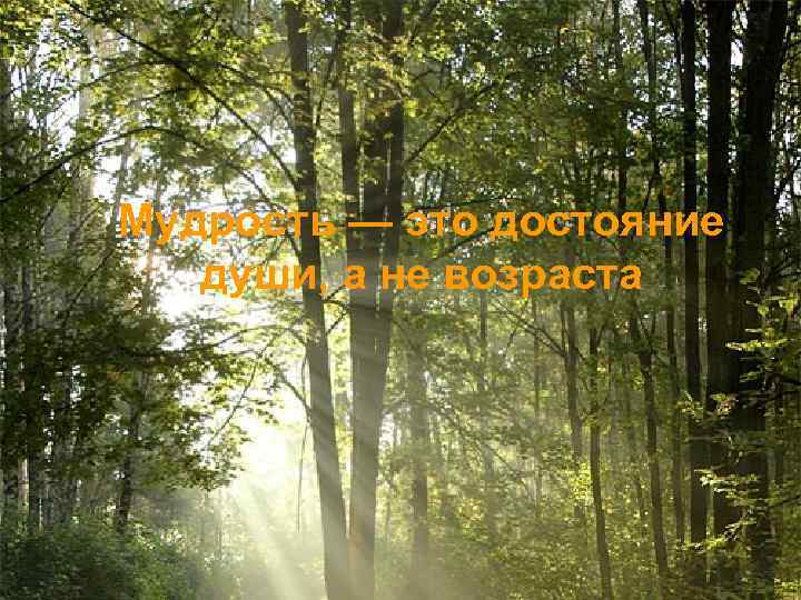 Мудрость — это достояние души, а не возраста 