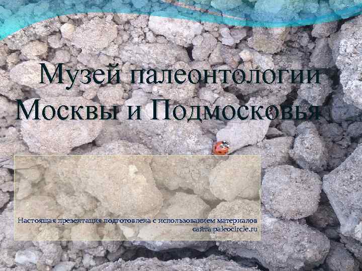 Музей палеонтологии Москвы и Подмосковья Настоящая презентация подготовлена с использованием материалов сайта paleocircle. ru
