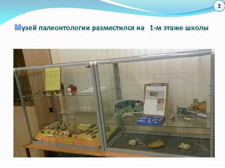 2 М узей палеонтологии разместился на 1 -м этаже школы 