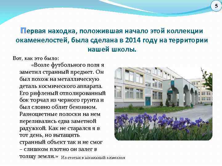 5 П ервая находка, положившая начало этой коллекции окаменелостей, была сделана в 2014 году