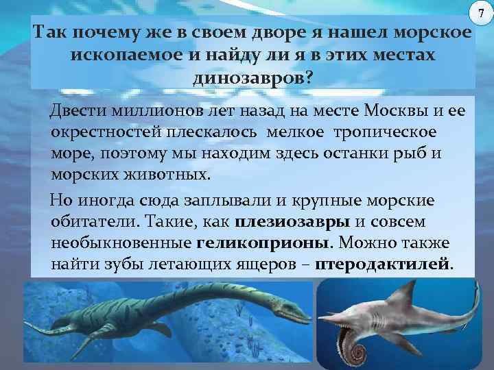 Так почему же в своем дворе я нашел морское ископаемое и найду ли я