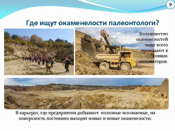 9 Где ищут окаменелости палеонтологи? Большинство окаменелостей чаще всего пропадают в ковшах экскаваторов. В